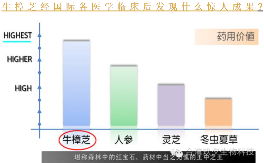 牛樟芝为何轰动国际各医学界?
