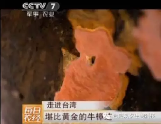 国內80%的人不知道的秘密 !